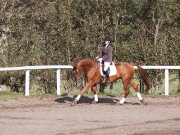 IMG_7775_web